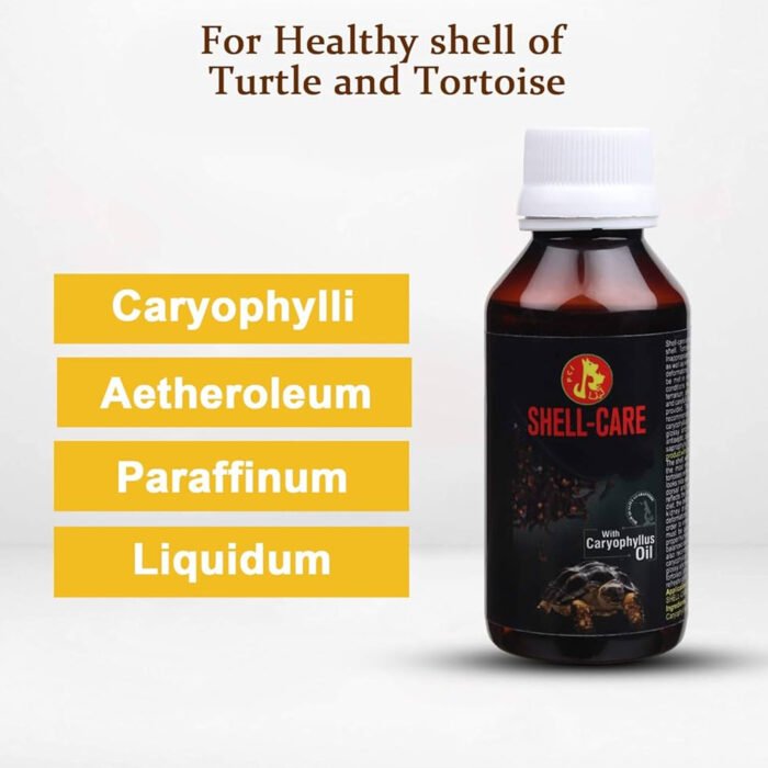 Turtle shell care - Image 1